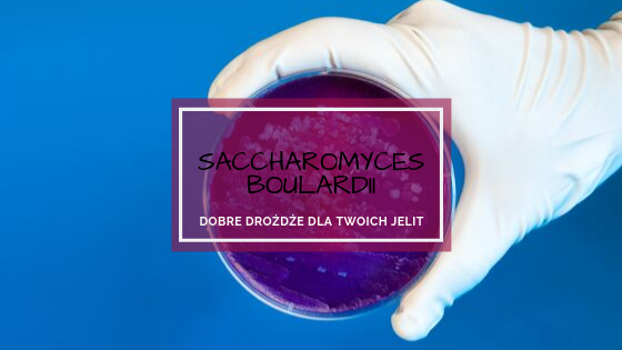 Saccharomyces boulardii – dobre drożdże dla układu trawiennego